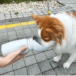 Foldable Dog Water Bottle - In Use